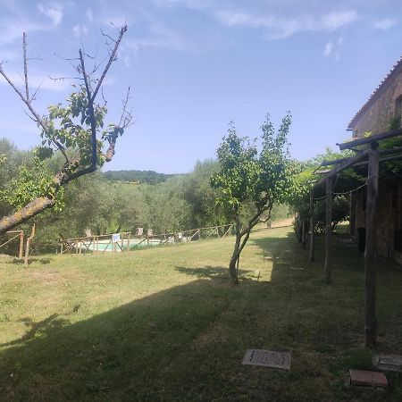 Borgo Villa A Tolli Castelnuovo dellʼAbate Exteriör bild