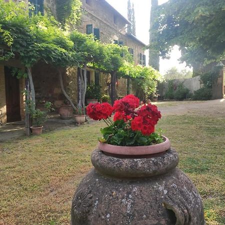 Borgo Villa A Tolli Castelnuovo dellʼAbate Exteriör bild