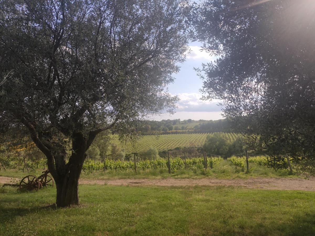 Borgo Villa A Tolli Castelnuovo dellʼAbate Exteriör bild