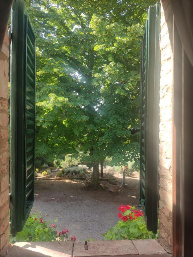 Borgo Villa A Tolli Castelnuovo dellʼAbate Exteriör bild